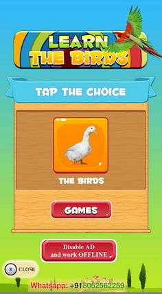 Learn the Birds - Screenshot 1