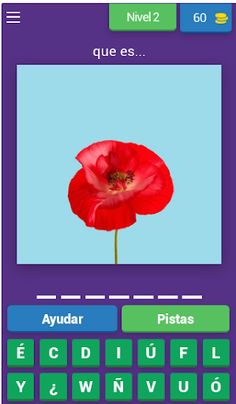 Maestro de ortografía - Screenshot 3