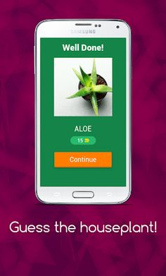 Guess the houseplant! - Screenshot 2