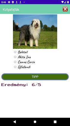 Kutya Kvíz - Screenshot 2