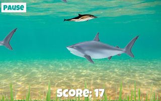 Dolphin Danger 2 - Screenshot 3