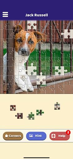 Jack Russell Puzzle - Screenshot 4