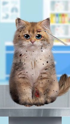 Cat Salon: Makeover ASMR - Screenshot 4