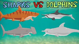 Shark Fights Killer Whale - Screenshot 2