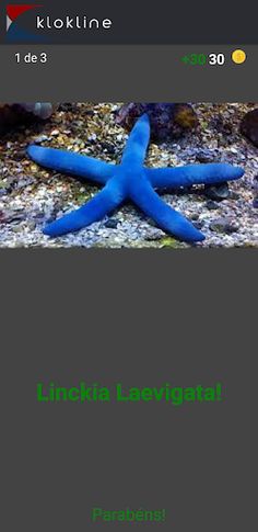 60 Invertebrados Desafio - Screenshot 3