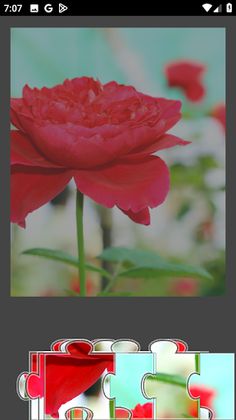 Jigsaw Classic - Screenshot 1