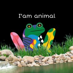 Fun Guess - Screenshot 1