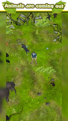 Jungle Rush - Screenshot 2