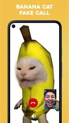 Banana Cat Fake Call Meme - Screenshot 1