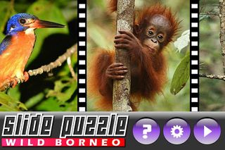 Slide Puzzle Borneo Animals - Screenshot 2