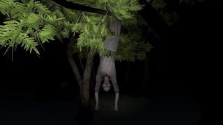 The Jungle - Horror Game - Screenshot 1