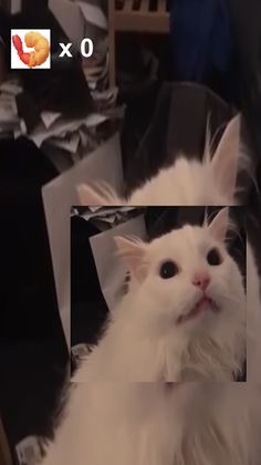 Thurston Waffles: Make Daddy's - Screenshot 2