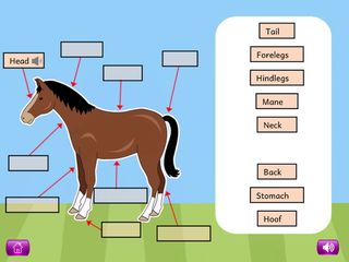 Naming Parts of Plants and Ani - Screenshot 3