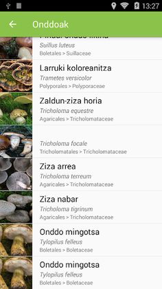 Onddoak - Screenshot 2