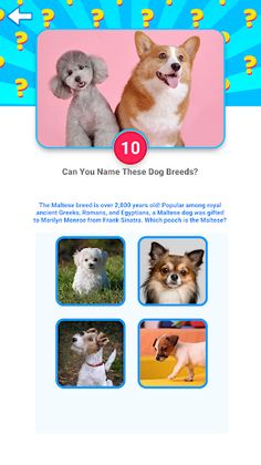 Hype Fam - Screenshot 4