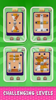 Nuts & Bolts Screw Pin Puzzle - Screenshot 3