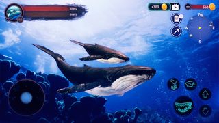 The Humpback Whales - Screenshot 1