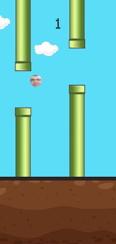 Servet Sayar Bird - Screenshot 2