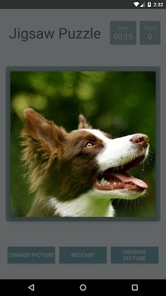 Jigsaw Puzzle - Screenshot 4