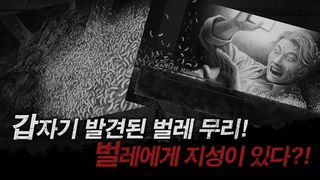 Shin Hayarigami: Parasite - Screenshot 2