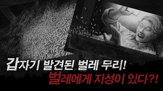 Shin Hayarigami: Parasite - Screenshot 2