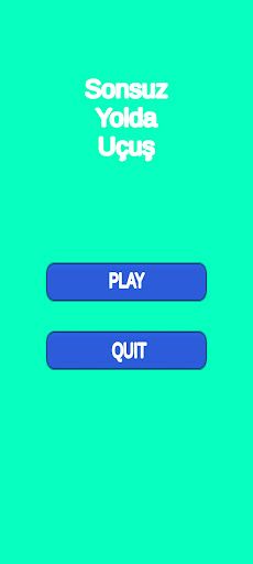 Flight On Endless Road - Screenshot 1