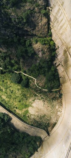 Forest trail - Screenshot 1