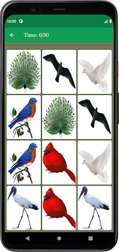 Bird Memory Matching Game - Screenshot 3