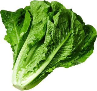 Feed The Hadar - Screenshot 1