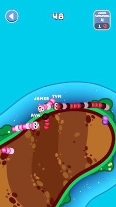 Worm Islands - Screenshot 4