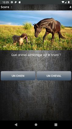 Quiz Culture générale - Screenshot 3