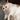 Skich_User_248824