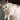 Skich_User_248824