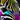 NeonZebraSpots